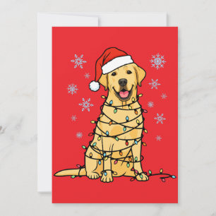 Navidad Labrador