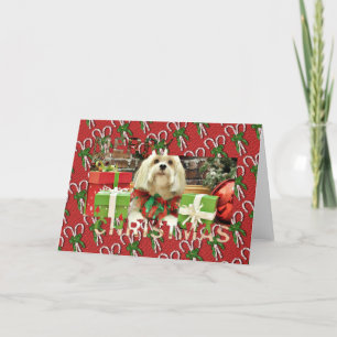 Navidad - Lasa Apso - Muffie