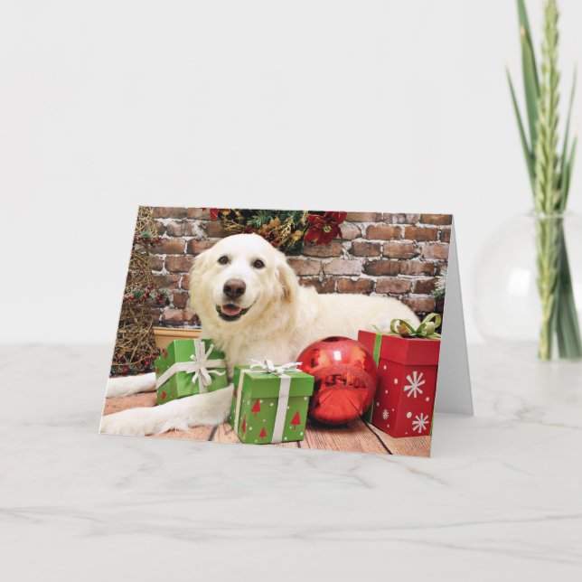 Navidad - los grandes Pirineos Labrador X - Ginny (Anverso)