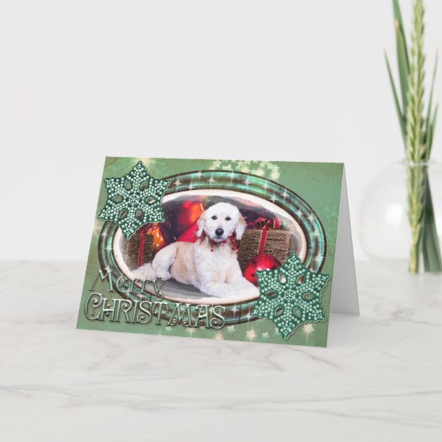 Navidad - Maggie - GoldenDoodle (Anverso)