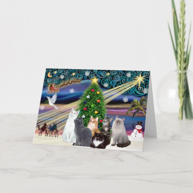 Navidad Magia - Seis gatos (variedad) (Anverso)