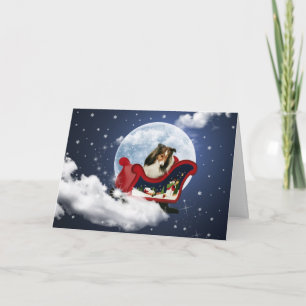 Navidad mágico Sheltie
