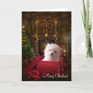 Navidad maltés del perro de perrito
