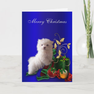 Navidad maltés del perro de perrito