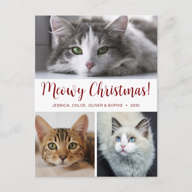 Navidad Meowy 3 Foto (Anverso)