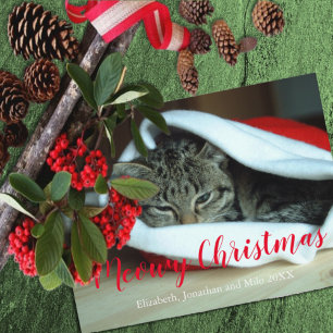 Navidad Meowy Foto de Gato Navidad