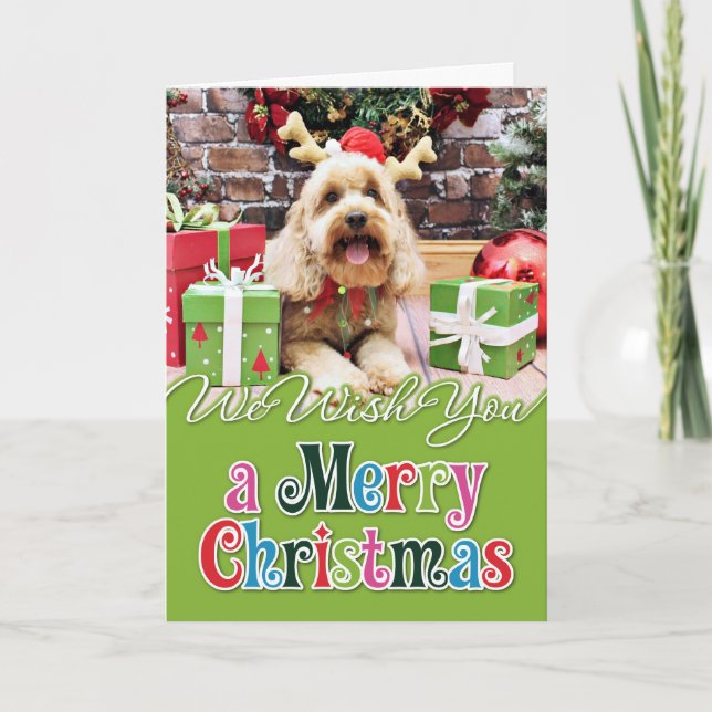 Navidad - mini GoldenDoodle - Maggie (Anverso)