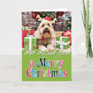 Navidad - mini GoldenDoodle - Maggie