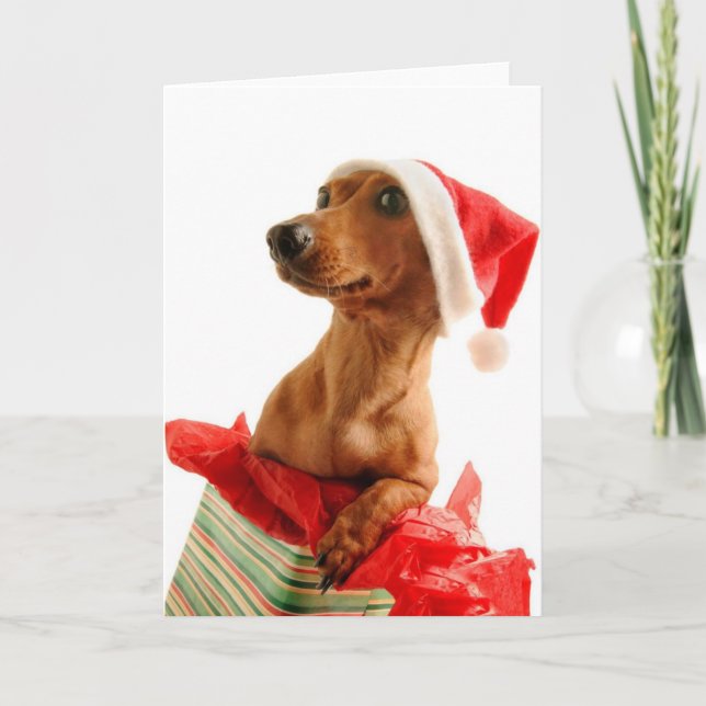 Navidad mismo de un Doxie (Anverso)