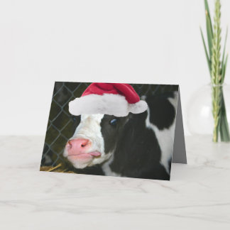 Navidad Moory de la vaca