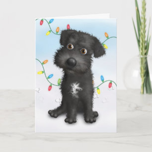 Navidad (negro) de Schnoodle