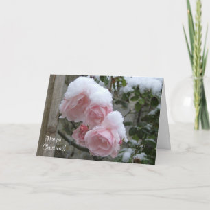 Navidad nevada rosada de los rosas