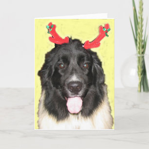 Navidad Newfie de FPG