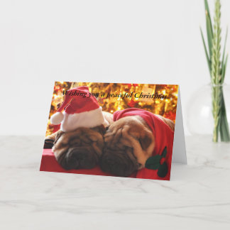 Navidad pacífico de Shar Pei
