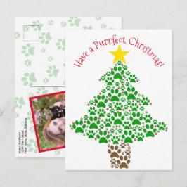 Navidad Perfecta Gato Divertido Foto de Huella de 