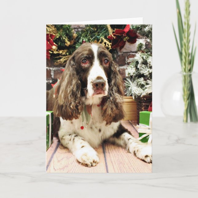 Navidad - perro de aguas de saltador inglés - (Anverso)