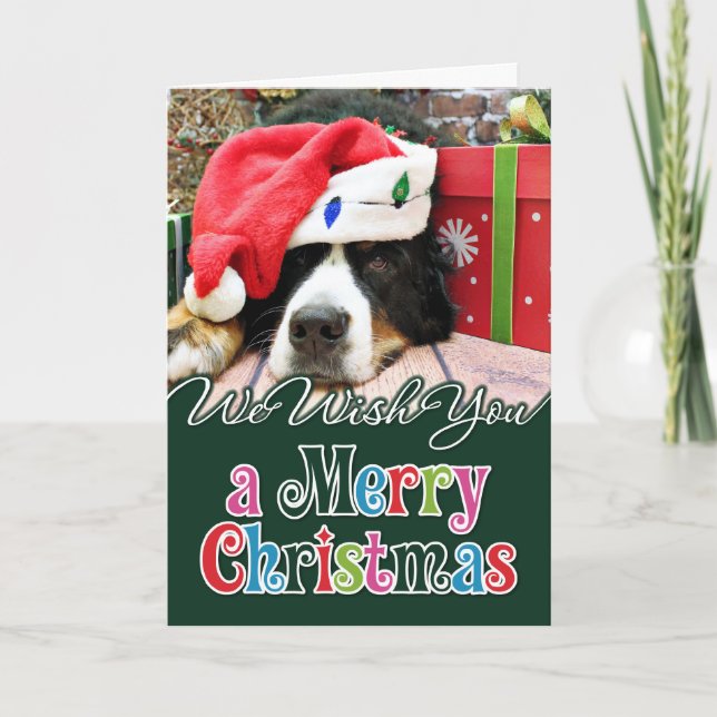Navidad - perro de montaña de Bernese - Mya (Anverso)