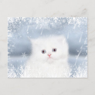 Navidad persa blanco del gatito