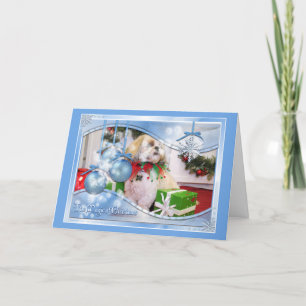 Navidad Photocard de Shih Tzu