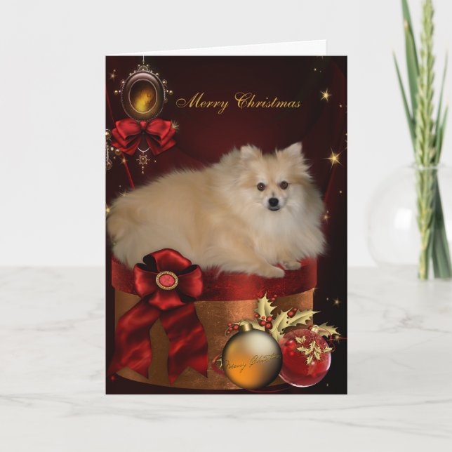Navidad Pomerania (Anverso)