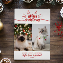 Navidad Roja Blanca Meowy 2 Fotos de Gatos Navidad
