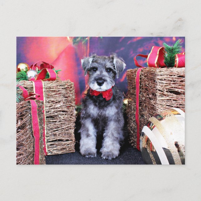 Navidad - Schnauzer - artillero (Anverso)