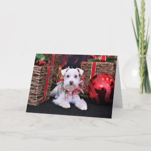 Navidad - Schnauzer - Emma