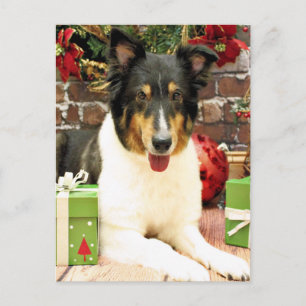 Navidad - Sheltie - de encaje