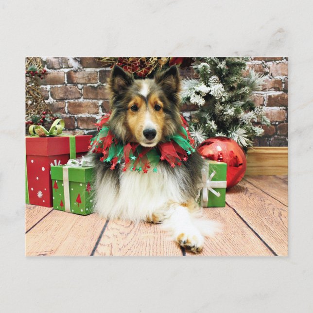 Navidad - Sheltie - duquesa (Anverso)