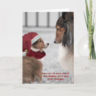Navidad Shelties