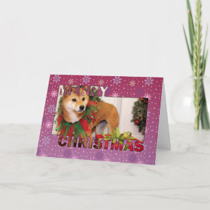 Navidad - Shiba Inu Photocard