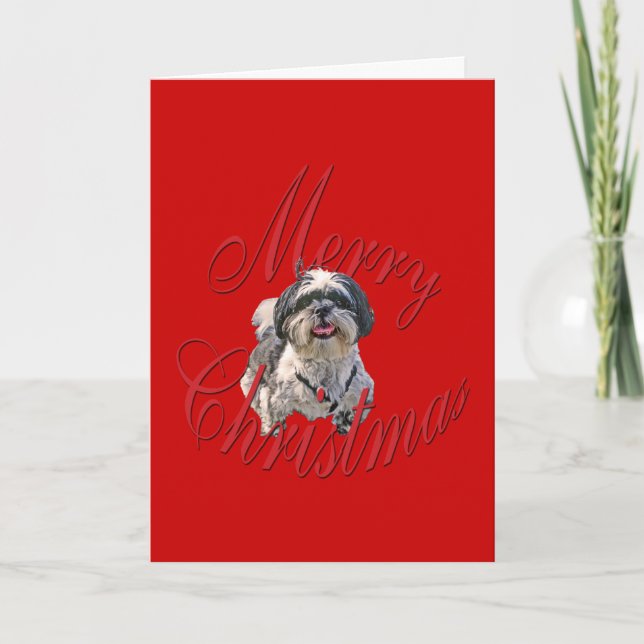 Navidad Shih Tzu (Anverso)