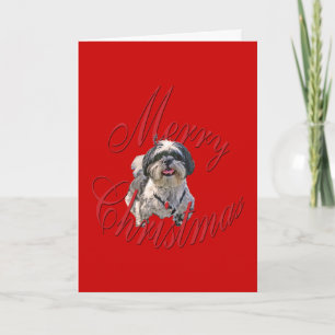 Navidad Shih Tzu