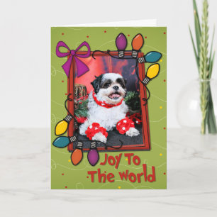 Navidad - Shih Tzu - Mishka