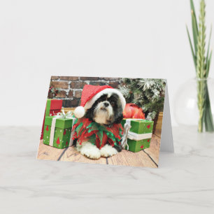 Navidad - Shih Tzu - Riley