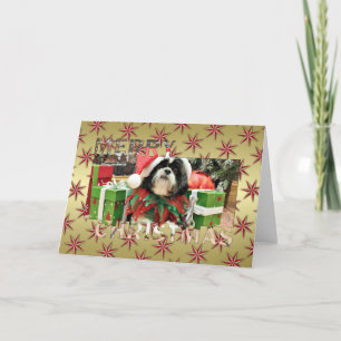 Navidad - Shih Tzu - Riley