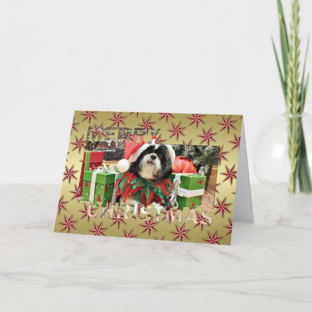 Navidad - Shih Tzu - Riley (Anverso)