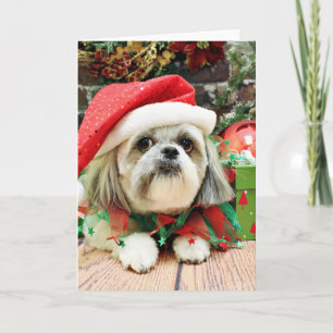 Navidad - Shih Tzu - trasto