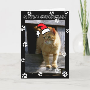 Navidad SHORTY5X7