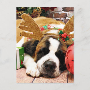 Navidad - St Bernard - azul