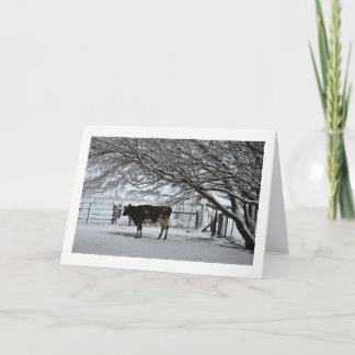 Navidad. Tarjeta mediana. Vaca en Nieve.