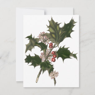 Navidad Vintage, Invitación de Bayas de Planta de 