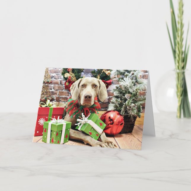 Navidad - Weimaraner - Lucy (Anverso)