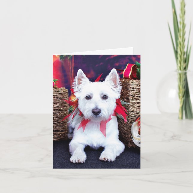 Navidad - Westie - Bella (Anverso)