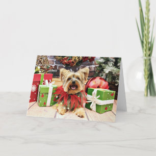 Navidad - Yorkshire Terrier - Bella