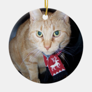 Navidades 2025 Gato Naranja con ornamento de bufan