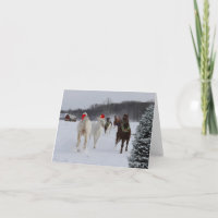 Navidades anotan la tarjeta de caballos en carrera