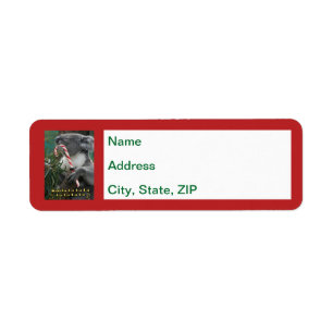 Navidades australianos Koala con etiqueta de caña 