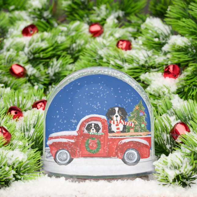 Navidades Bernese Mountain Dogs Red Truck (Navidad)