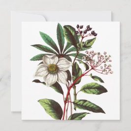 Navidades botánicos de época Rosa Flor Bouquet